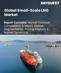 Global Small-Scale LNG Market