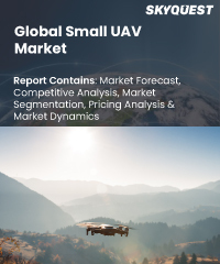 Global Small UAV Market
