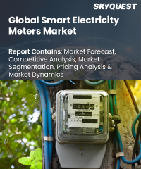 Global Smart Electricity Meters Market