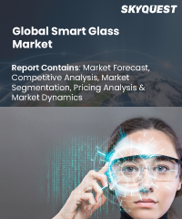 Global Smart Glass Market