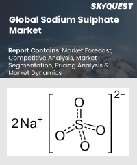 Global Sodium Sulphate Market