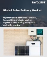 Global Solar Battery Market