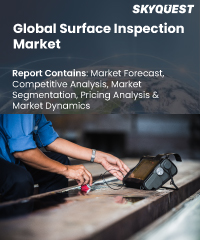 Global Surface Inspection Market