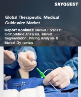 Global Therapeutic Medical Guidewire Market