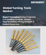 Global Turning Tools Market