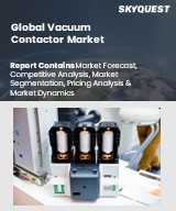Global Vacuum Contactor Market