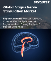 Global Vagus Nerve Stimulation Market