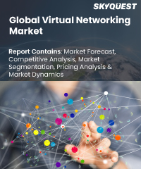 Global Virtual Networking Market