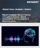 Global Voice Analytics Market