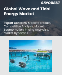 Global Wave and Tidal Energy Market