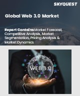 Global Web 3.0 Market