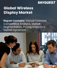 Global Wireless Display Market