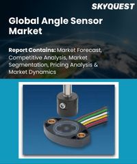 Global Angle Sensor Market