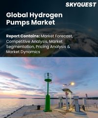Global Hydrogen Pumps Market