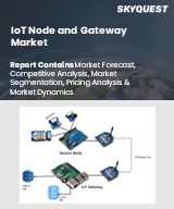 Global IoT Node and Gateway Market
