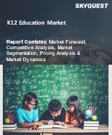 Global K12 Education Market