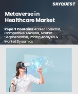 Metaverse in Healthcare Market