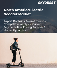North America Electric Scooter Market