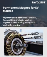 Permanent Magnet for EV Market