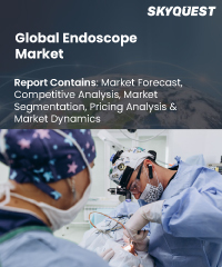 Global Endoscope Market
