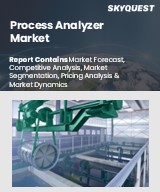 Global Process Analyzer Market