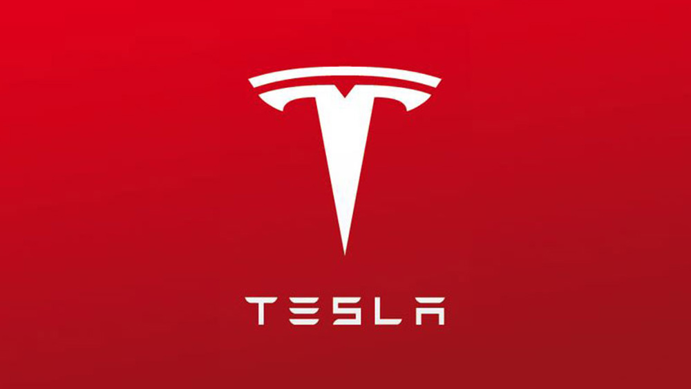 Tesla’s Earnings Show a Decline in Profit