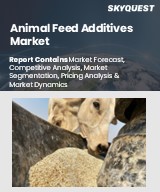 Global Animal Feed Additives Market