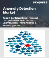 Global Anomaly Detection Market