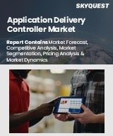 Global Application Delivery Controller Market