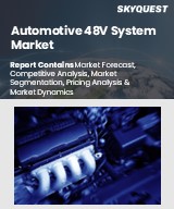 Global Automotive 48V System Market