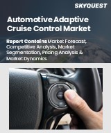 Global Automotive Adaptive Cruise Control Market