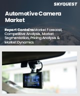 Global Automotive Camera Market
