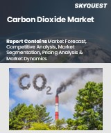 Global Carbon Dioxide Market