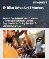 Global E-Bike Drive Unit Market