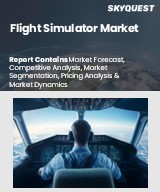 Global Flight Simulator Market