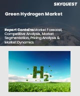 Global Green Hydrogen Market