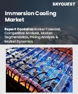 Global Immersion Cooling Market