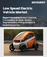 Global Low Speed Electric Vehicle Market