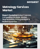 Metrology Services Market