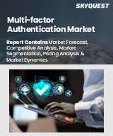 Global Multi-factor Authentication Market