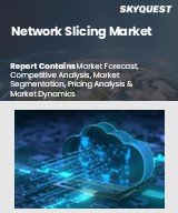 Global Network Slicing Market