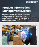Global Product Information Management Market