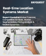 Global Real-time Location Systems Market