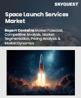 Global Space Launch Services Market