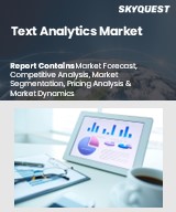 Global Text Analytics Market