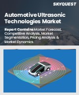 Automotive Ultrasonic Technologies Market