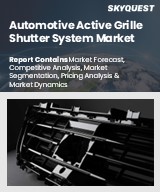 Global Automotive Active Grille Shutter System Market