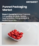 Punnet Packaging Market 