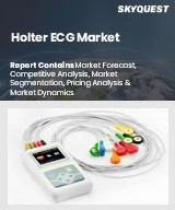 Global Holter ECG Market