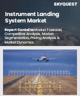 Global Instrument Landing System Market